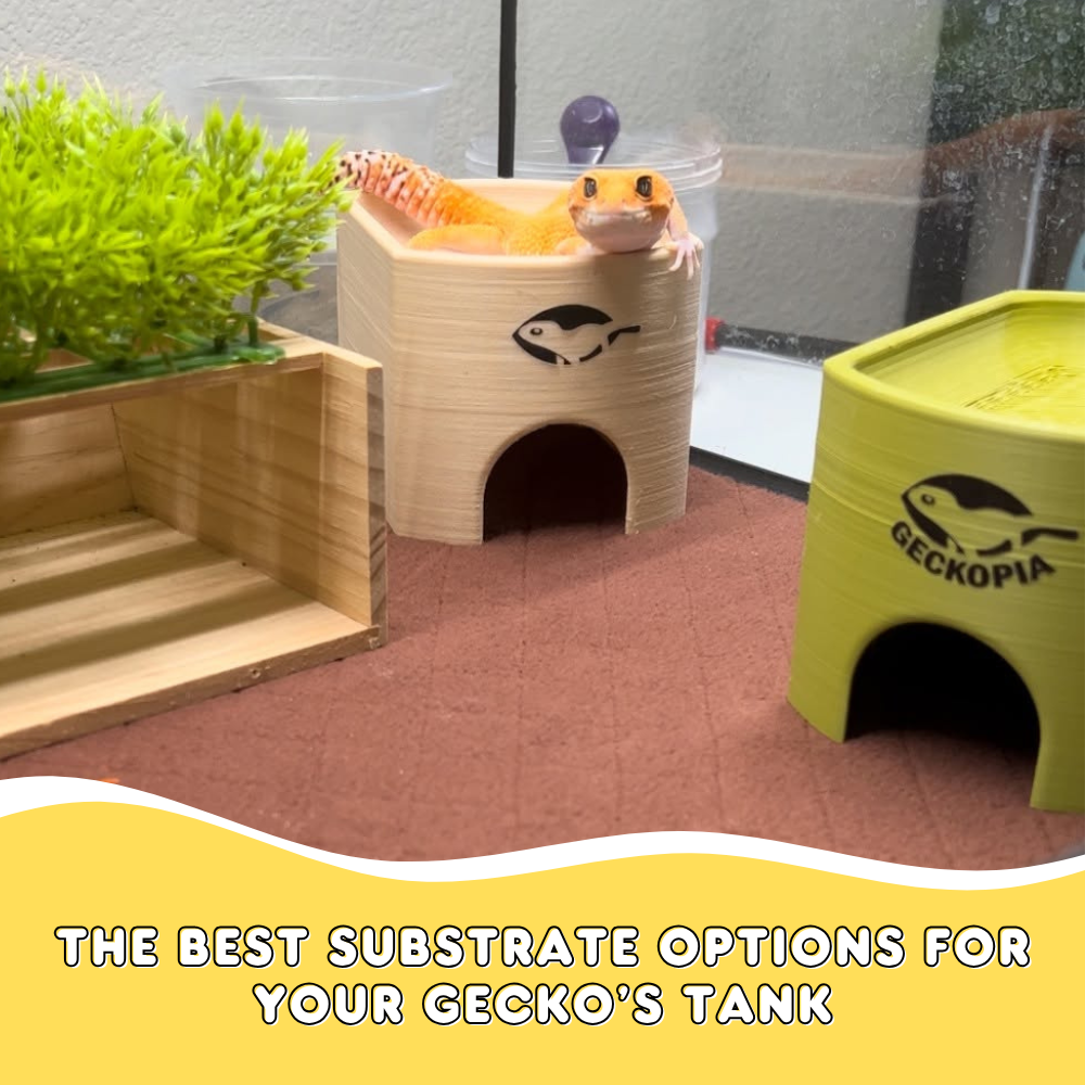 Best Substrate for Leopard Gecko