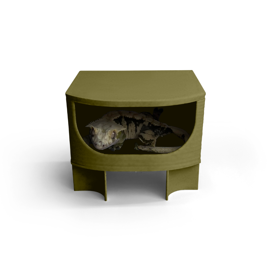 2.0 Geckopia Reptile Tree House