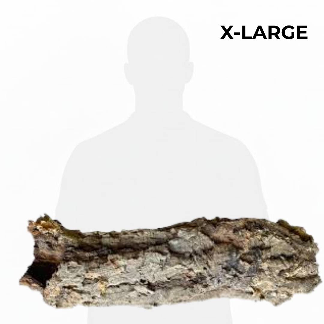 Cork Bark Tube