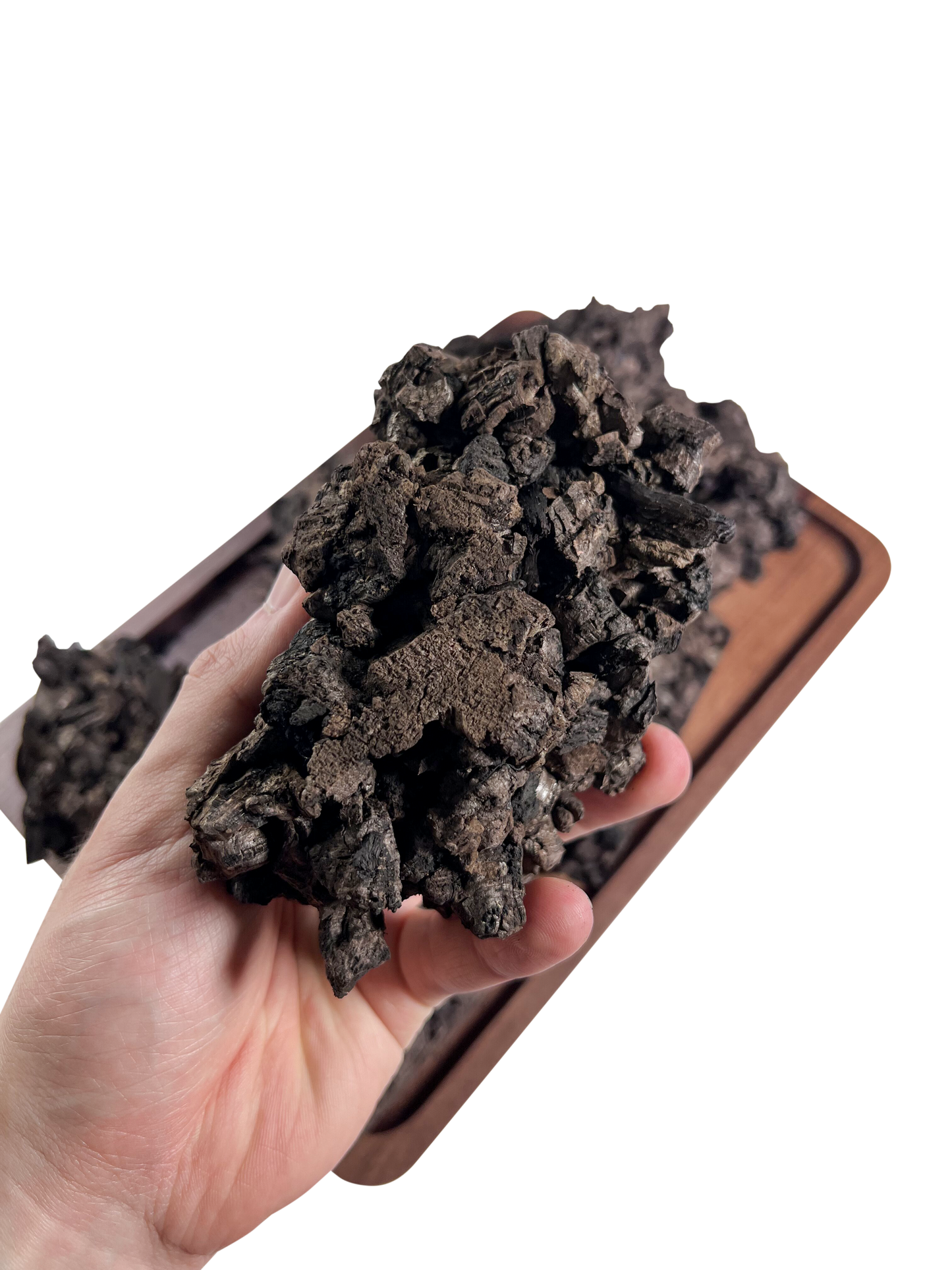 Carbonized Cork Bundle π