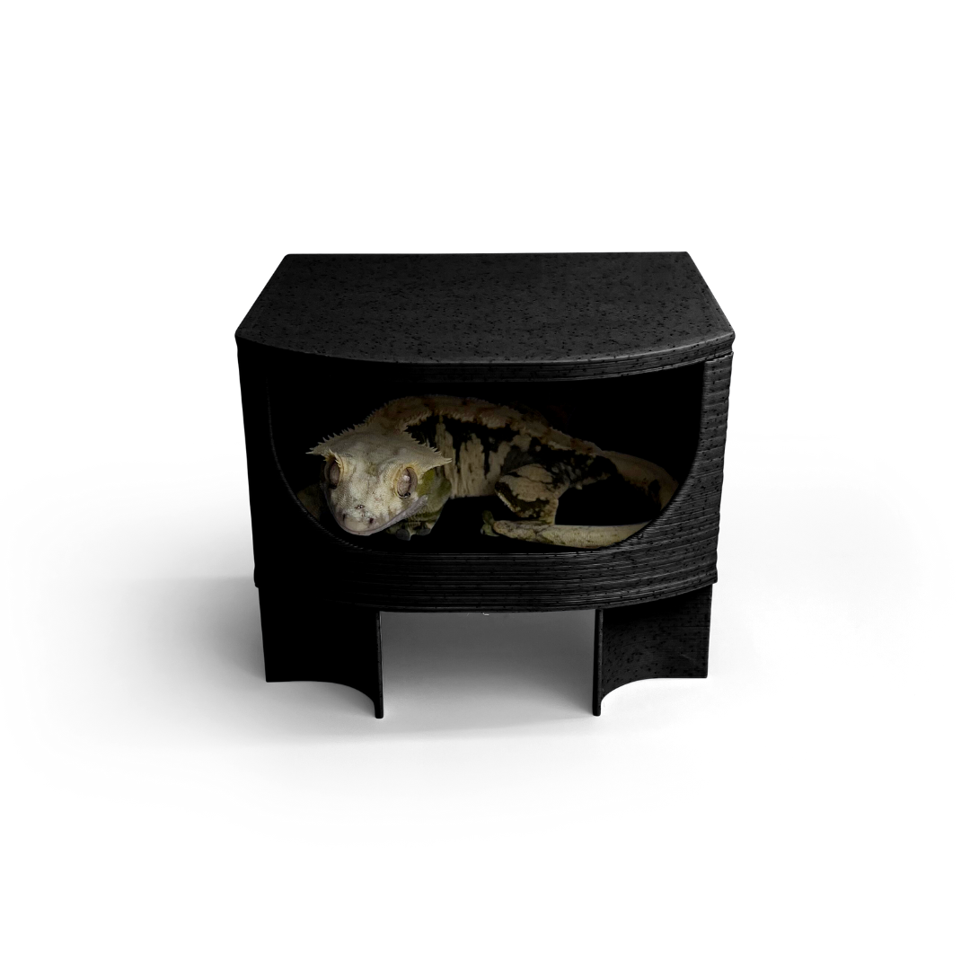 2.0 Geckopia Reptile Tree House
