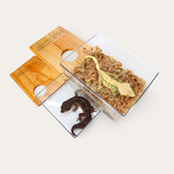 Geckopia Dig Box