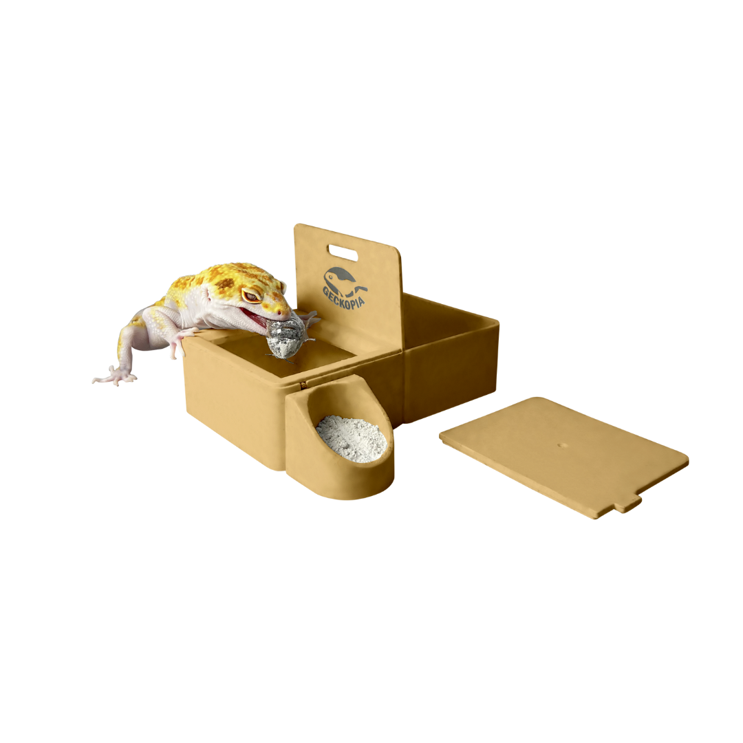 Geckopia Triple Dish