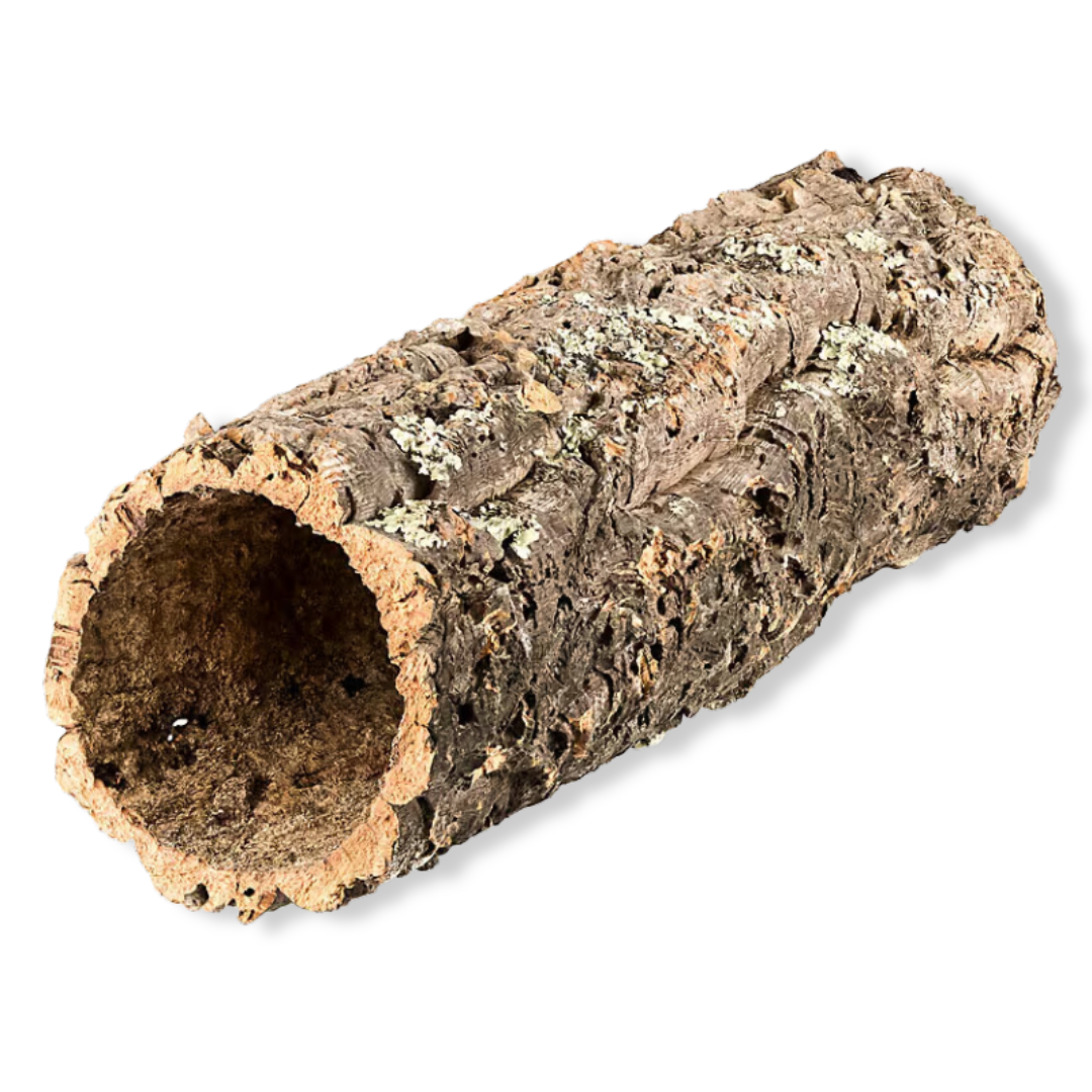 Cork Bark
