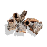 Cork Bark
