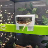 2.0 Geckopia Reptile Tree House