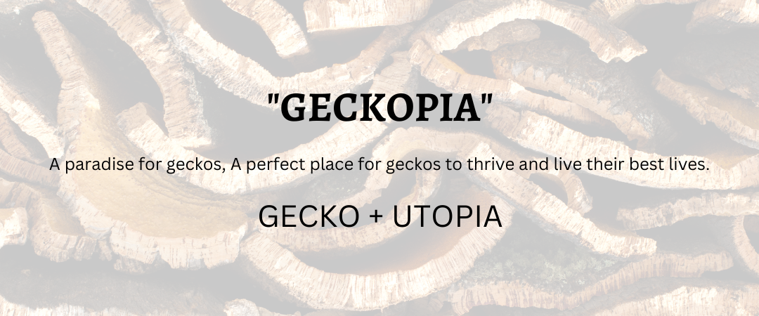 A paradise for geckos, A perfect place for geckos to thrive and live their best lives.
