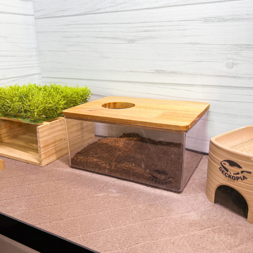 Geckopia Dig Box