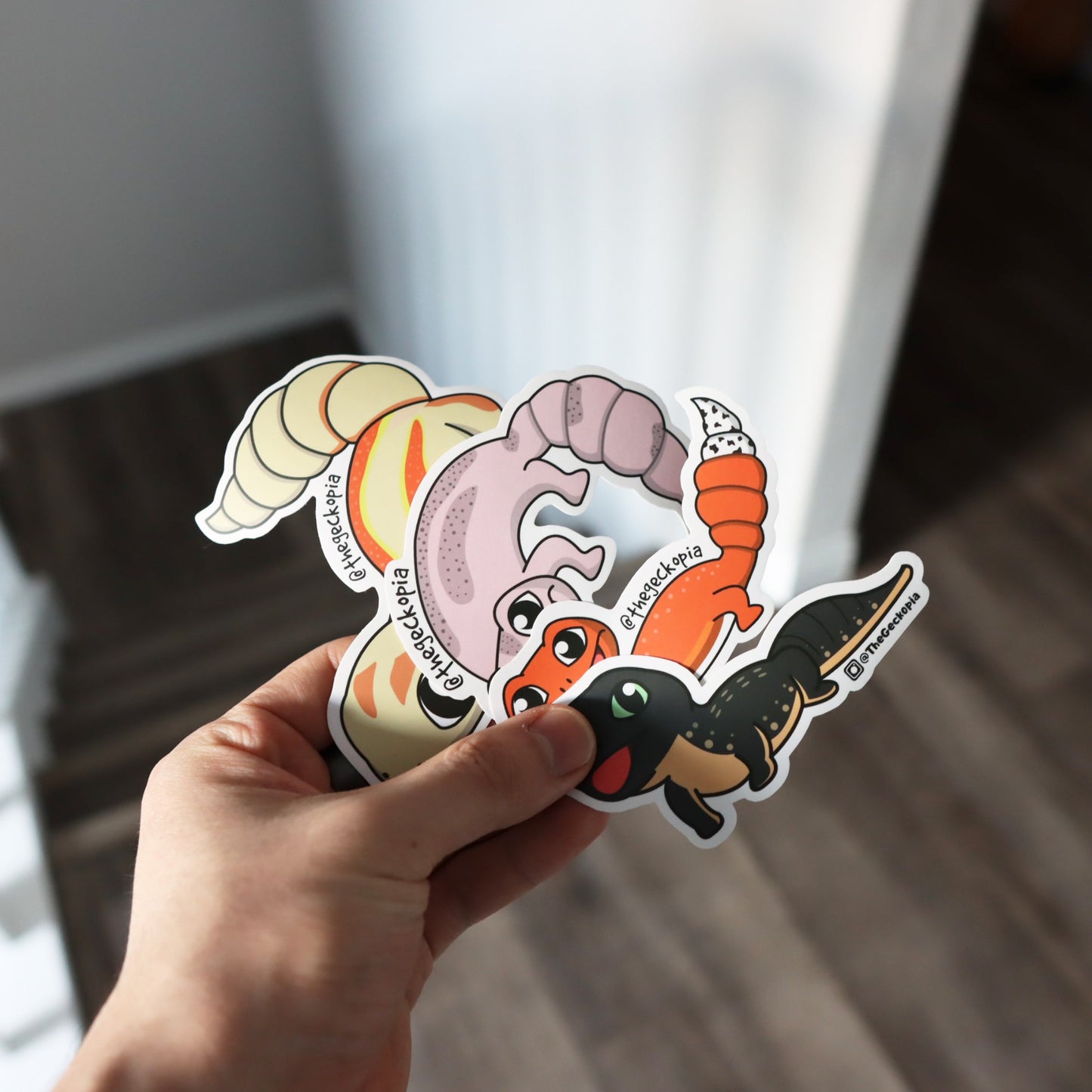 RED EYED CROCODILE SKINK STICKER/ DECALS