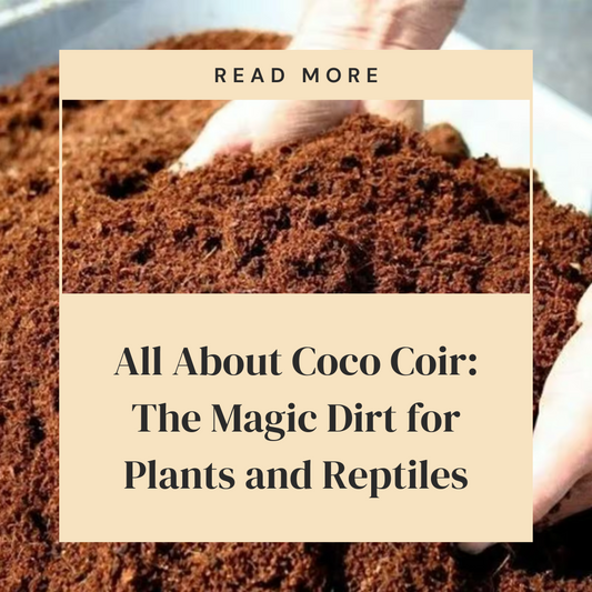 All About Coco Coir: The Magic Dirt for Plants and Reptiles