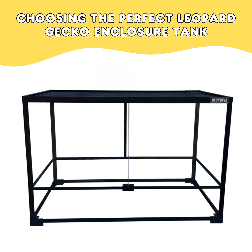 Choosing the Perfect Leopard Gecko Enclosure Tank