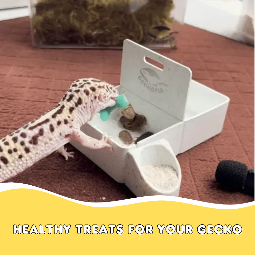 Healthy Treats for Your Gecko