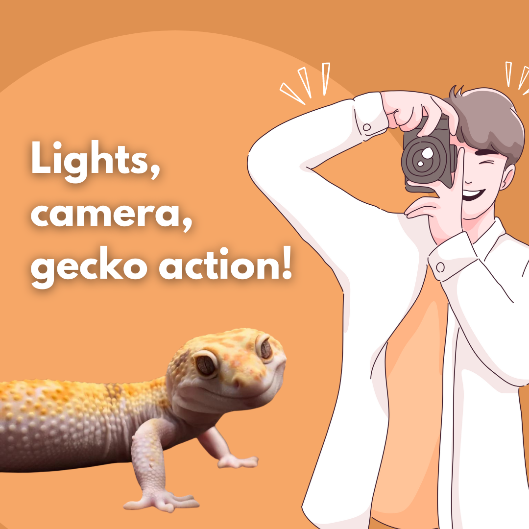 Capturing Gecko Charm: A Guide to Creating Adorable Videos