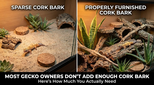 How Much Cork Bark Should I Add to a Leopard Gecko Bioactive Tank?