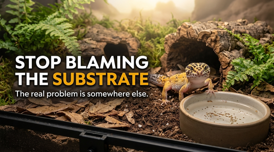 Why Does My Gecko Keep Getting Dirt in Its Water Bowl?