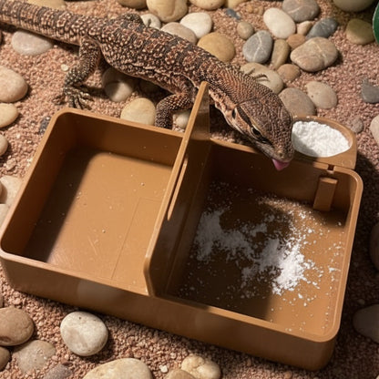 Reptile Triple Dish