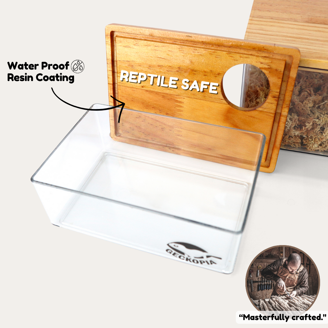 Geckopia Dig Box