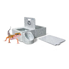 Geckopia Triple Dish