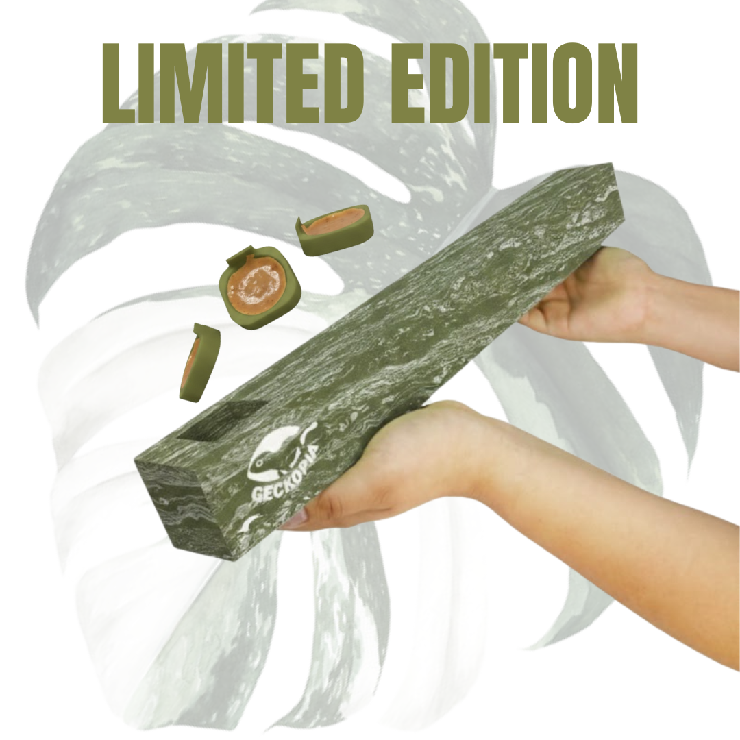 Biggest Flex Bridge Deal 🎁