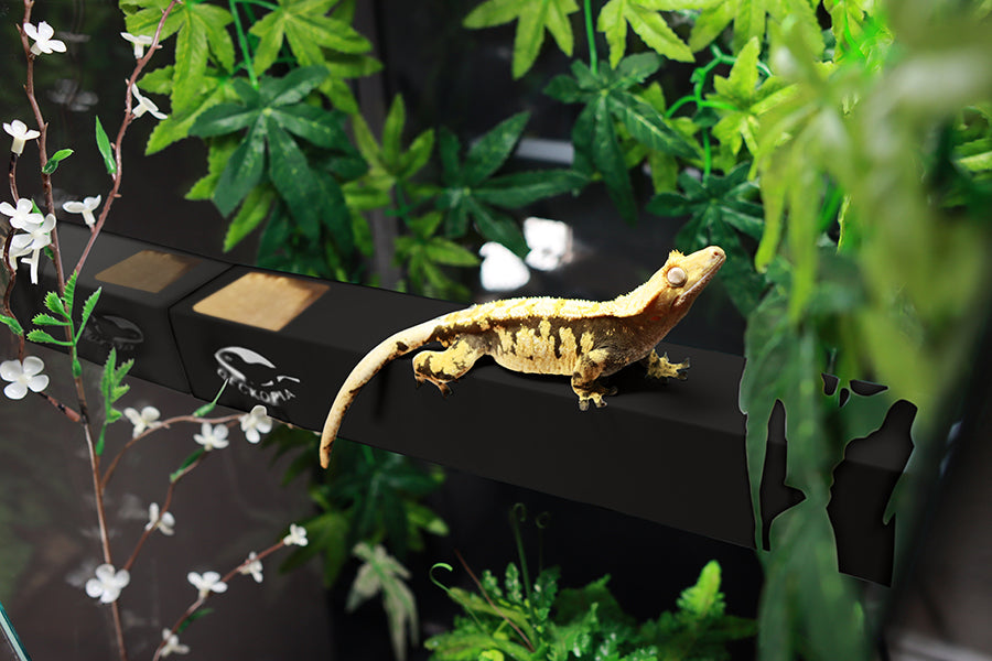 Reptile Flex Bridges