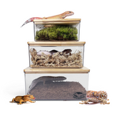 Geckopia Dig Box