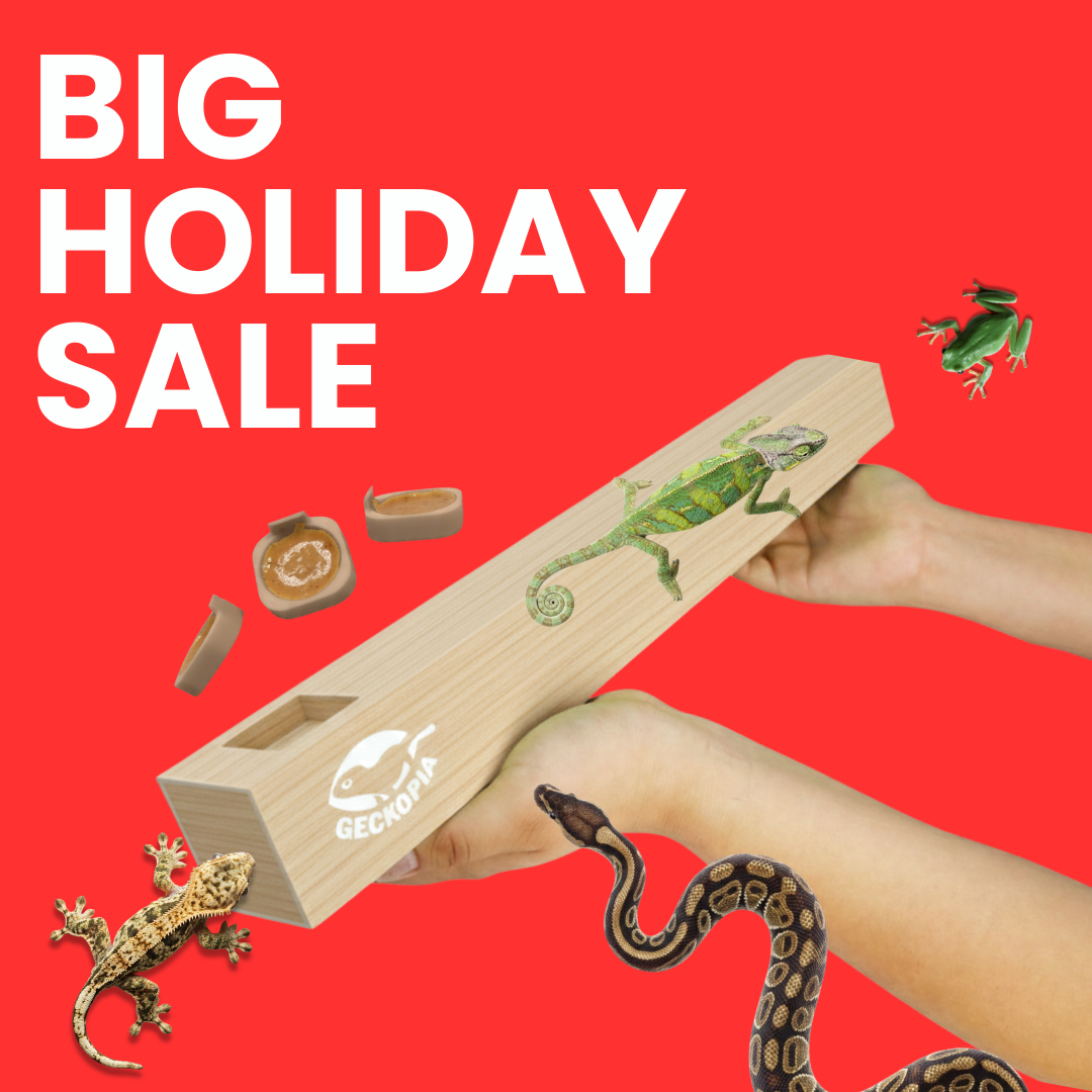 Biggest Flex Bridge Deal 🎁