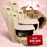 Big Gecko Family Bundle 🎁