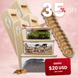 Gecko Heaven Bundle 🎁