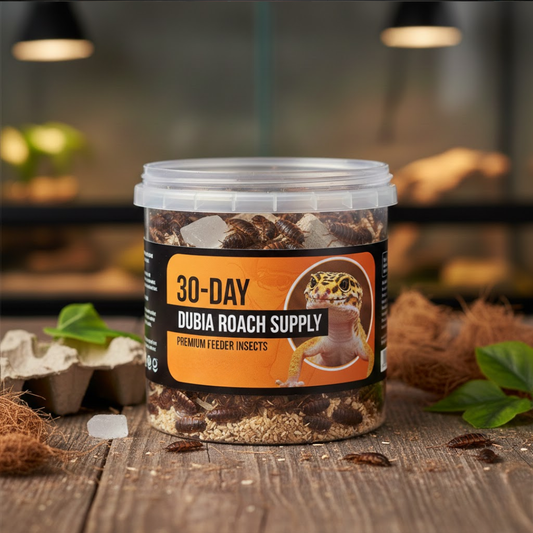 30-Day Dubia Supply