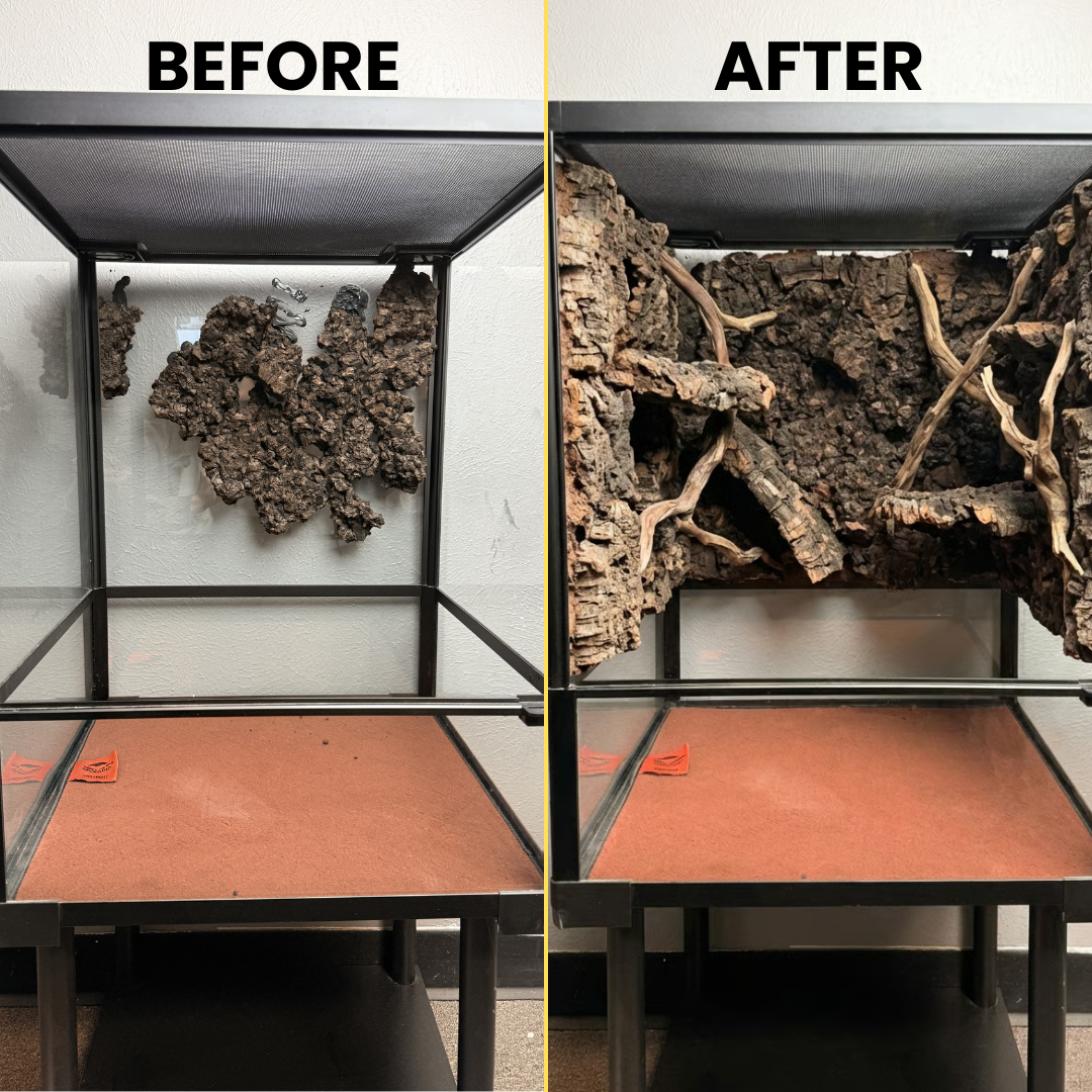 Carbonized Charcoal Cork