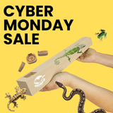 Biggest Flex Bridge Deal 🎁