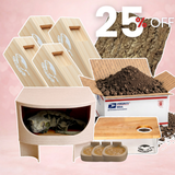 Geckopia Signature Vivarium Kit (12×12×18 Tank) 🎁