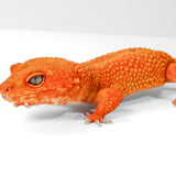 2509 - Mandarin Tangerine - Female