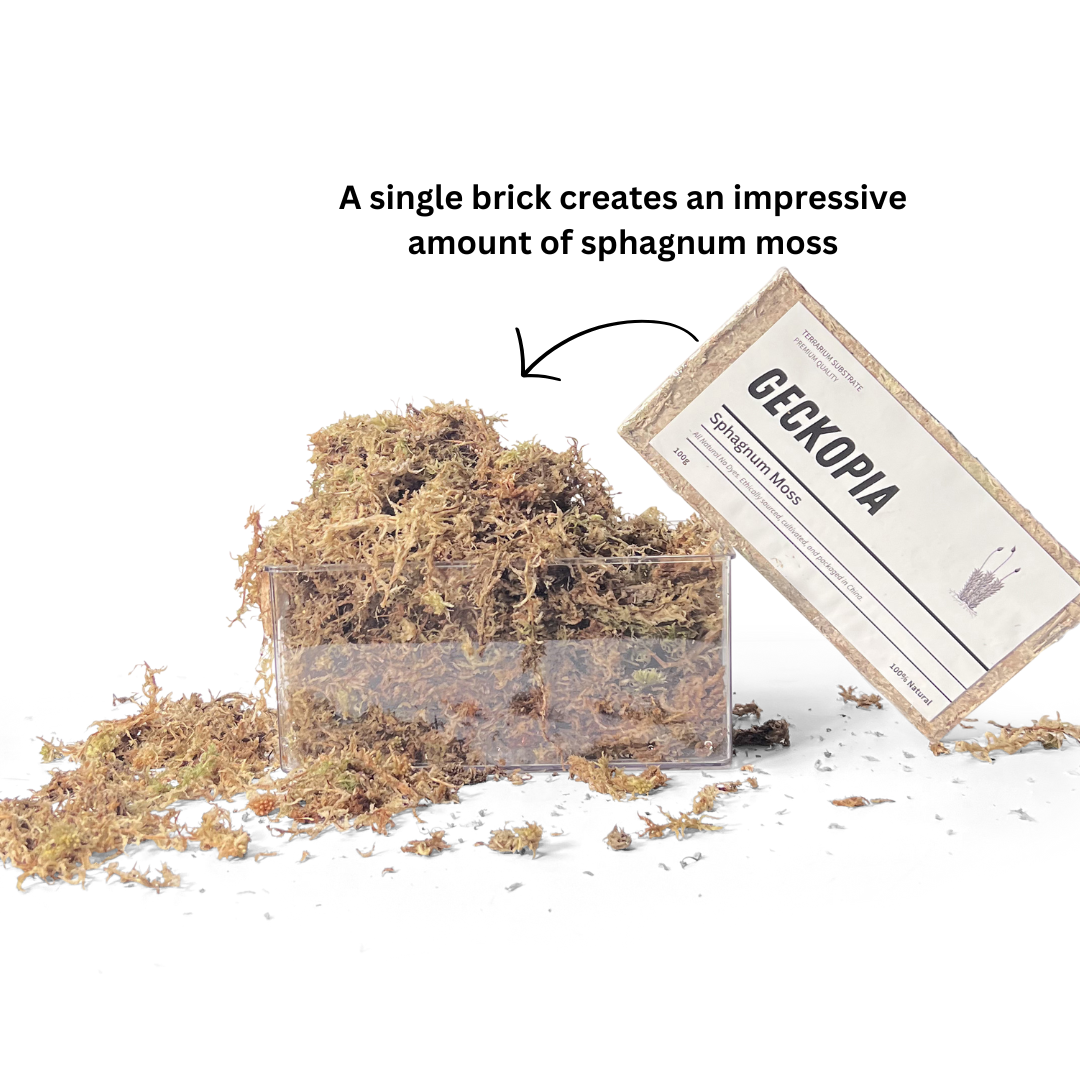 Sphagnum Moss Brick