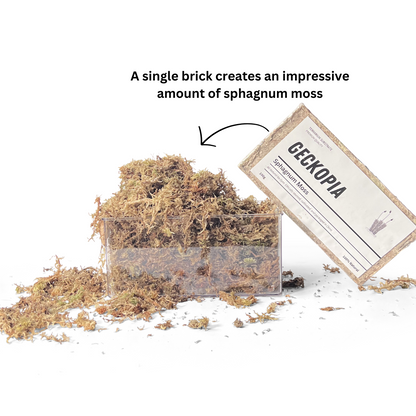 Sphagnum Moss Brick