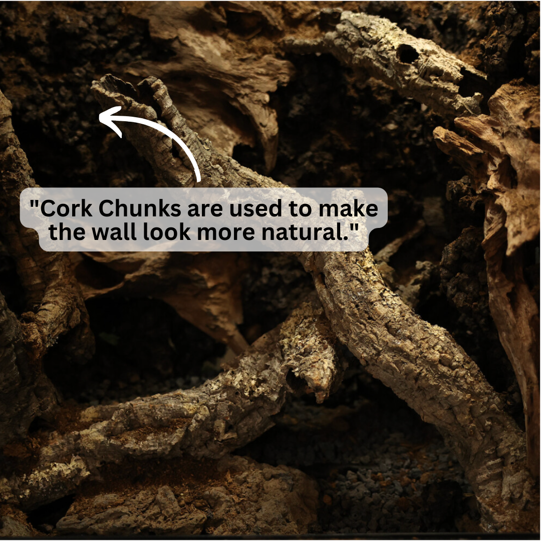 Carbonized Charcoal Cork