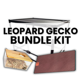 Leopard Gecko Starter Kit