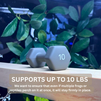 Flex Bridge