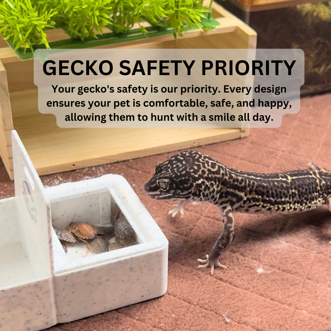Geckopia Triple Dish