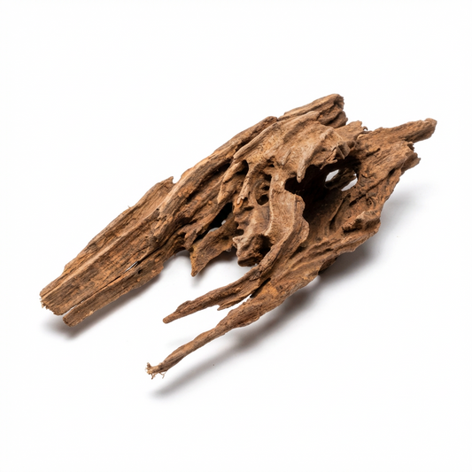 Dragon Wood