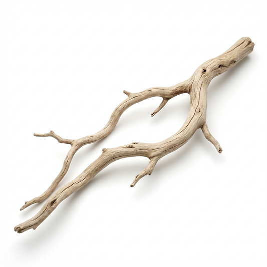 Ghost Wood