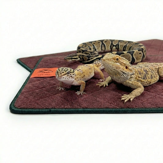 Geckopia Premium Reptile Liner