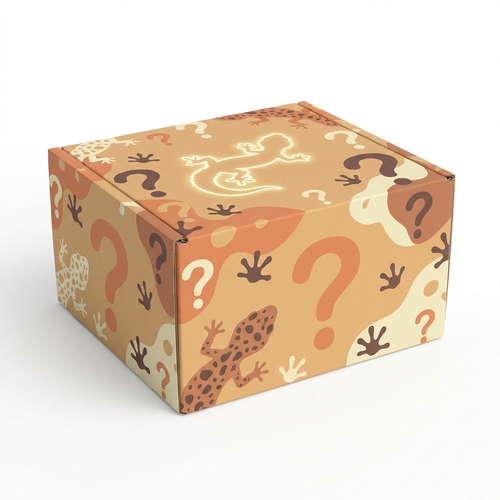 Affordable Mystery Leopard Gecko Box
