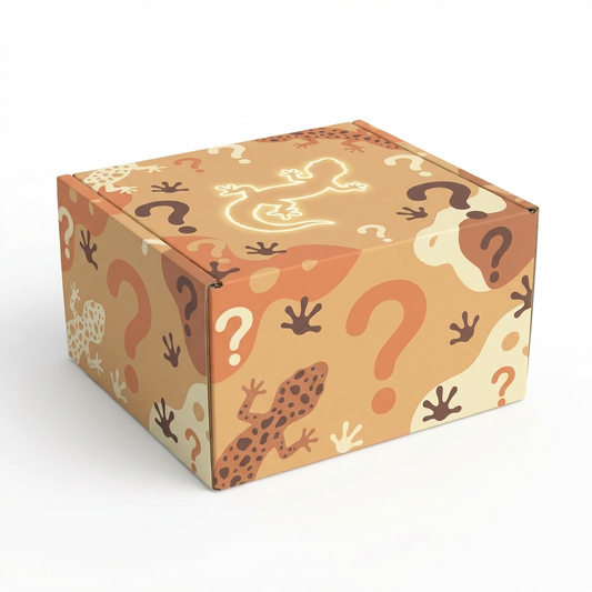 Affordable Mystery Leopard Gecko Box