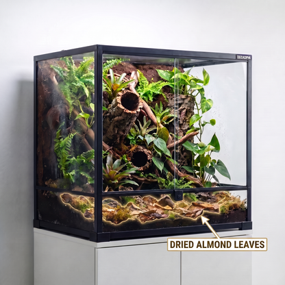 Almond Leaves (10ct)