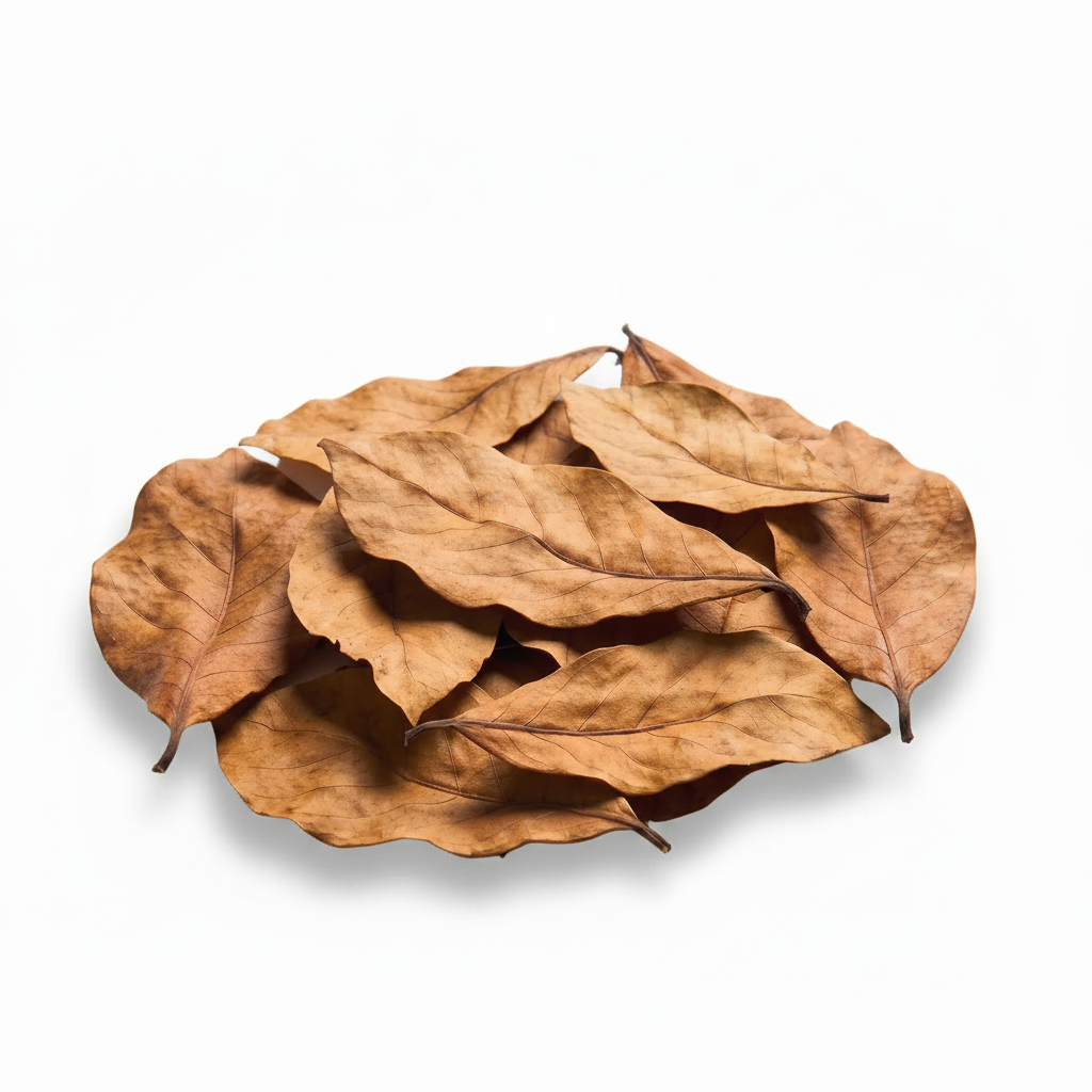 Almond Leaves (10ct)