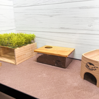 Geckopia Dig Box