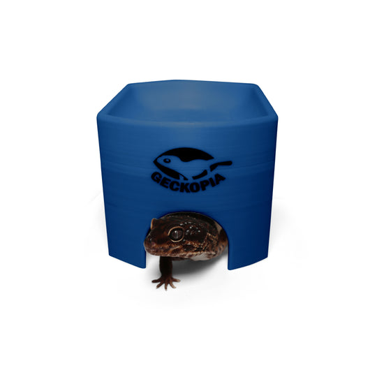 Gecko Place