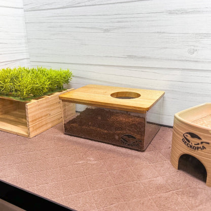 Geckopia Dig Box