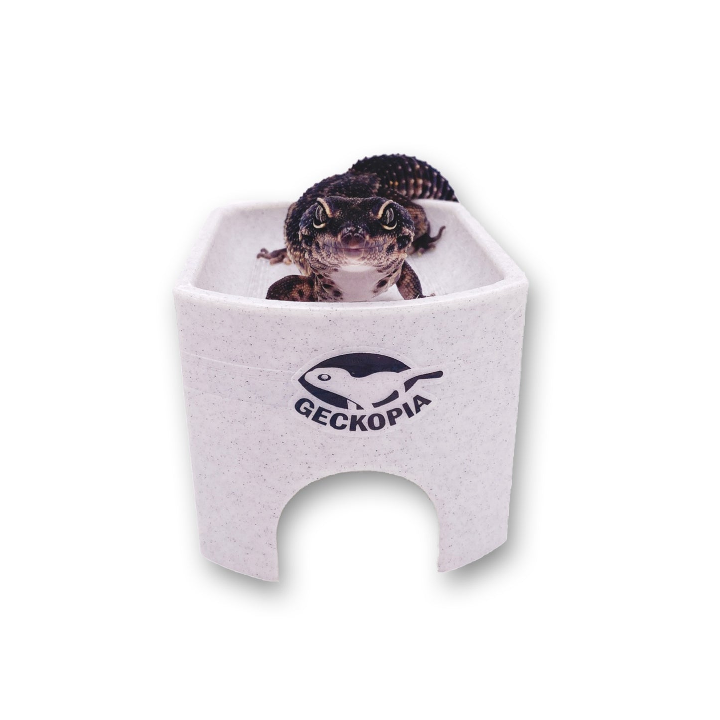 Gecko Place